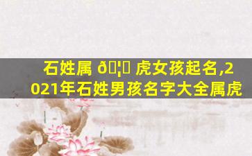 石姓属 🦈 虎女孩起名,2021年石姓男孩名字大全属虎